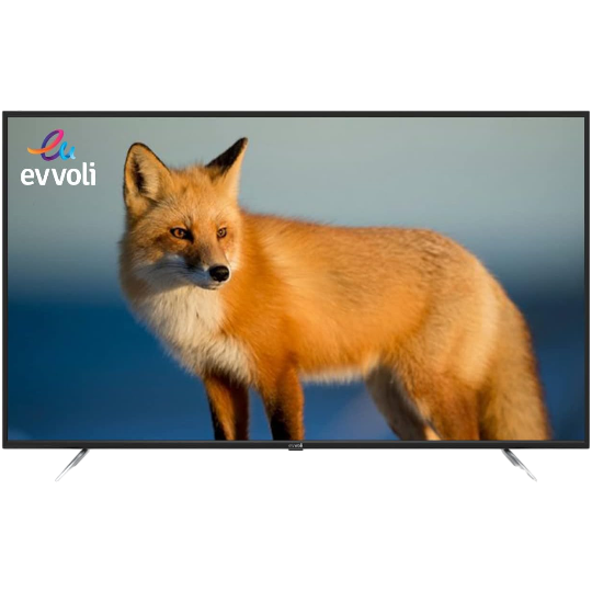 Televizor Evvoli 55EV200US