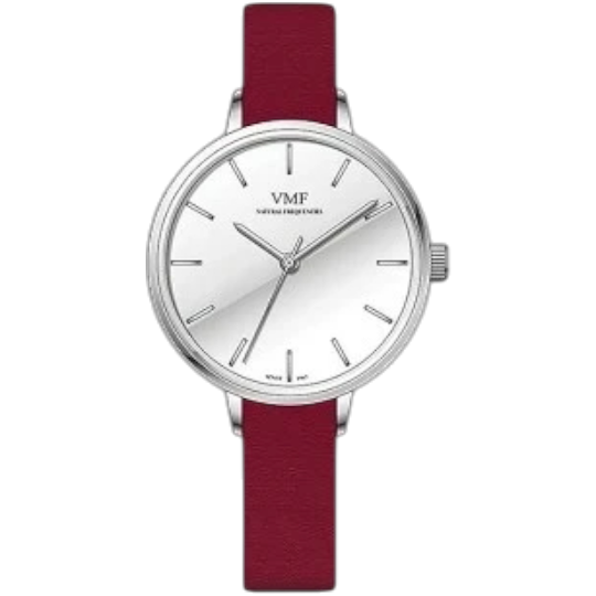 Qol Saatı Vmf AYNA V3114/4PA/2F7/49