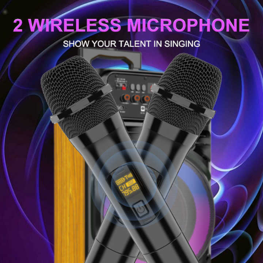 Səsgücləndirici Sing-E JQS9033 60W 10X2 2IN1 - Thumbnail 1