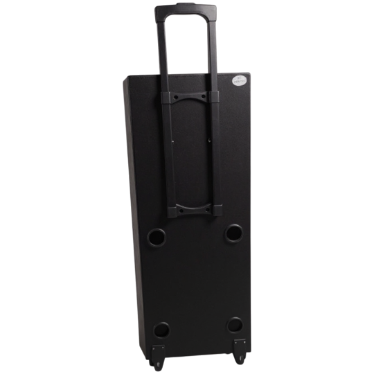 Səsgücləndirici Foni FN-S1022 2X10 80W MIC+REM - Thumbnail 3