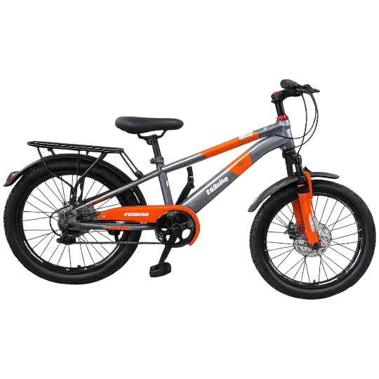 Velosiped Full BIKE Baqajlı 20 Sadə